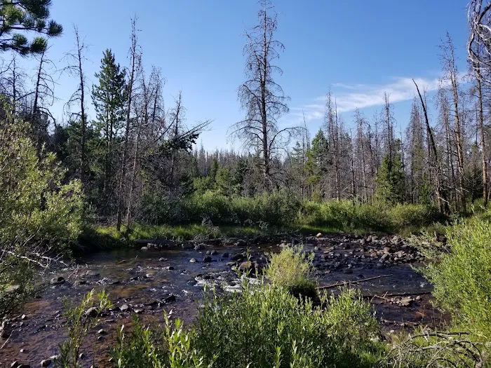 Henrys Fork Campground Picture 4