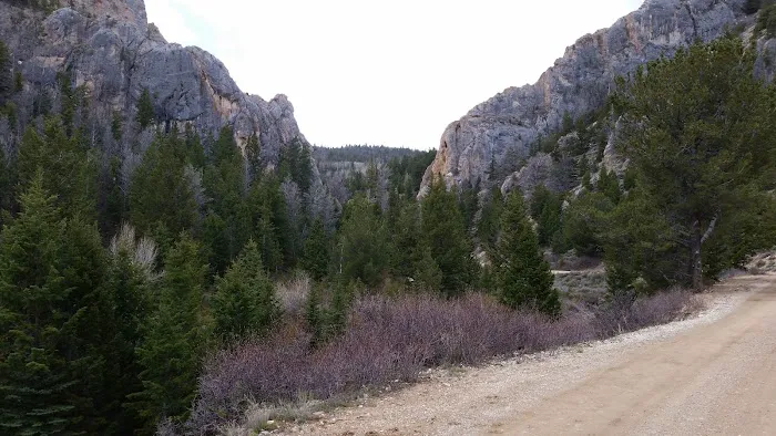 Hoop Lake Campground Picture 4