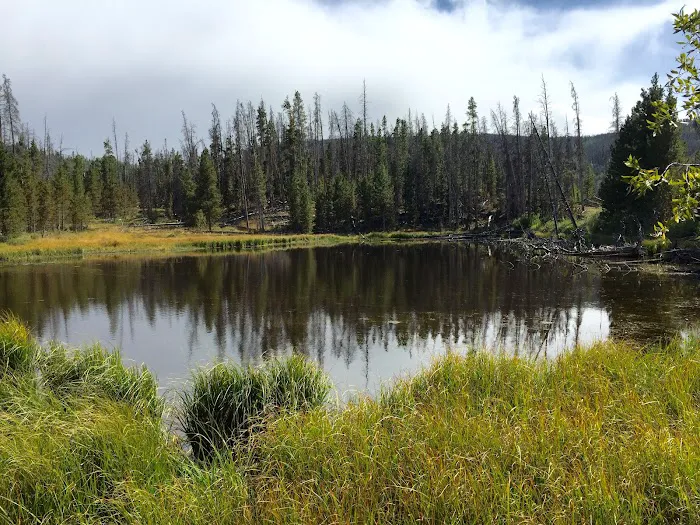 Hoop Lake Campground Picture 5