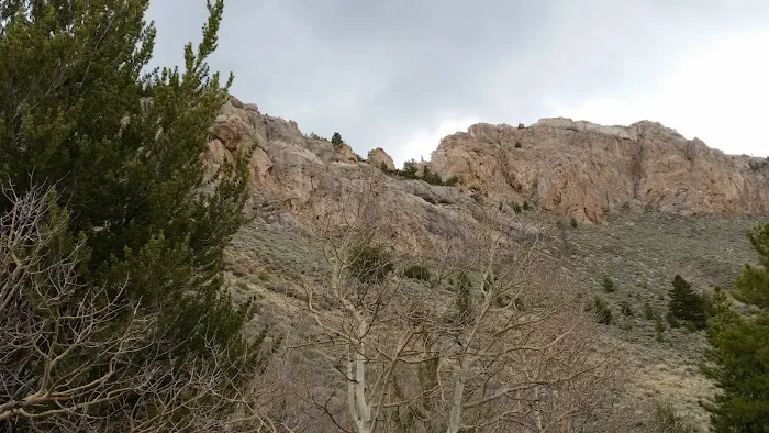 Hoop Lake Campground Picture 2