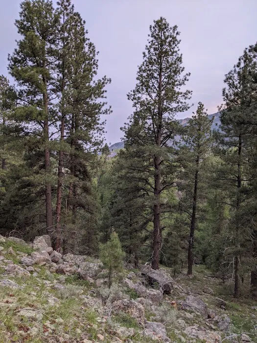 Whiterocks Campground Picture 9