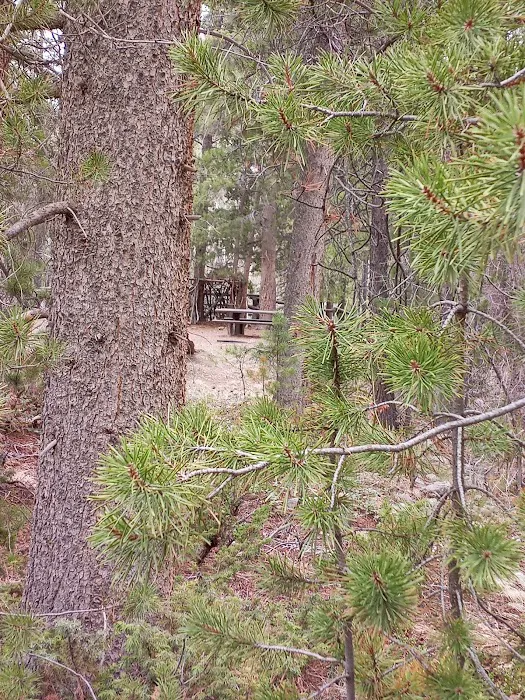 Whiterocks Campground Picture 6