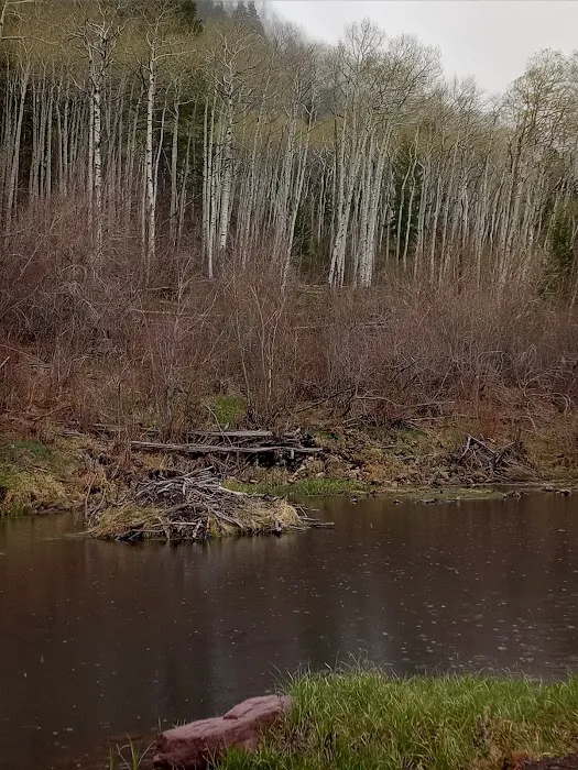 Whiterocks Campground Picture 5