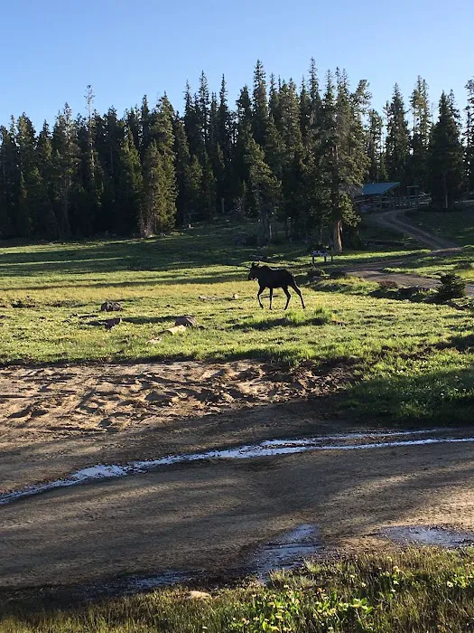 Spirit Lake Campground Picture 7