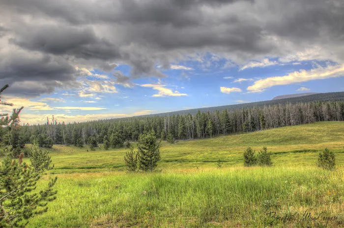 Spirit Lake Campground Picture 5