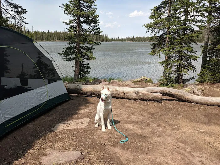 Spirit Lake Campground Picture 1