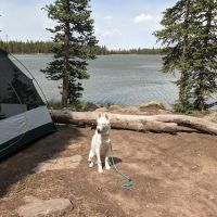 Spirit Lake Campground ico