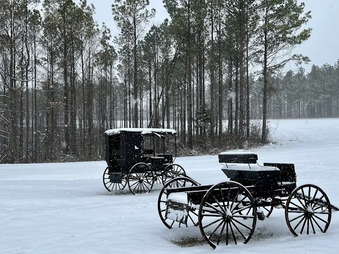 Country Livin RV Park Picture 6