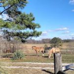 Country Livin RV Park