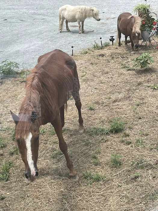 Country Livin RV Park Picture 7