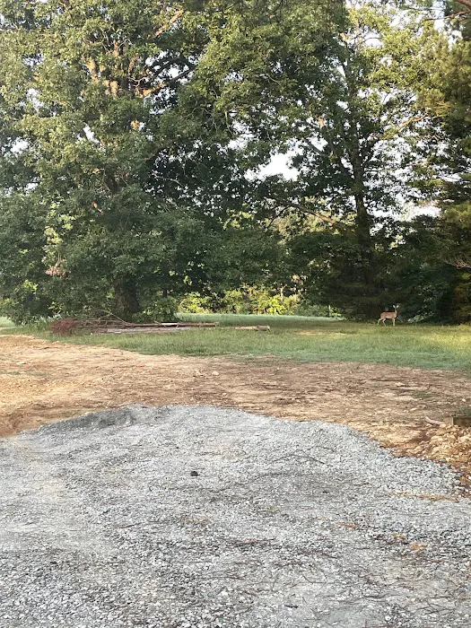 Country Livin RV Park Picture 5