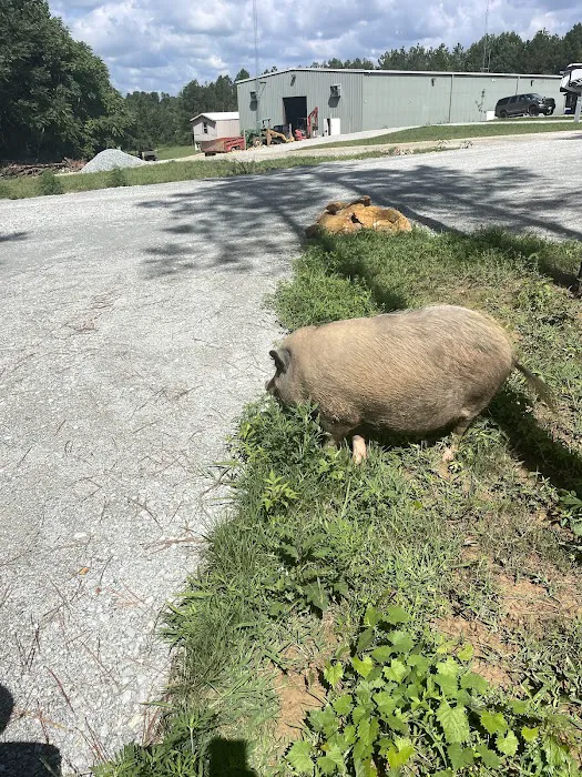 Country Livin RV Park Picture 9