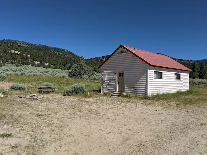 ORANGE OLSEN Picture 8