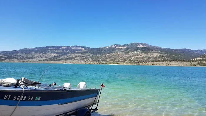 ORANGE OLSEN Picture 7