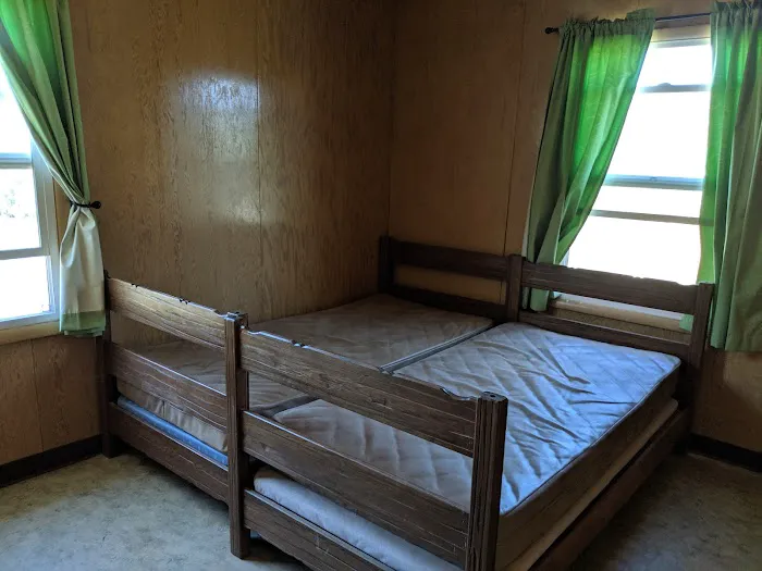 ORANGE OLSEN Picture 2