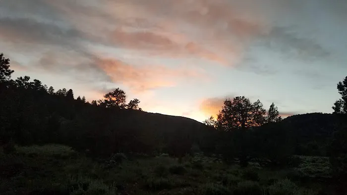 ORANGE OLSEN Picture 1