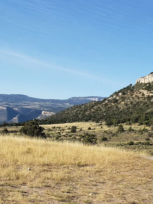 ORANGE OLSEN Picture 5