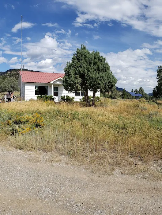 ORANGE OLSEN Picture 10