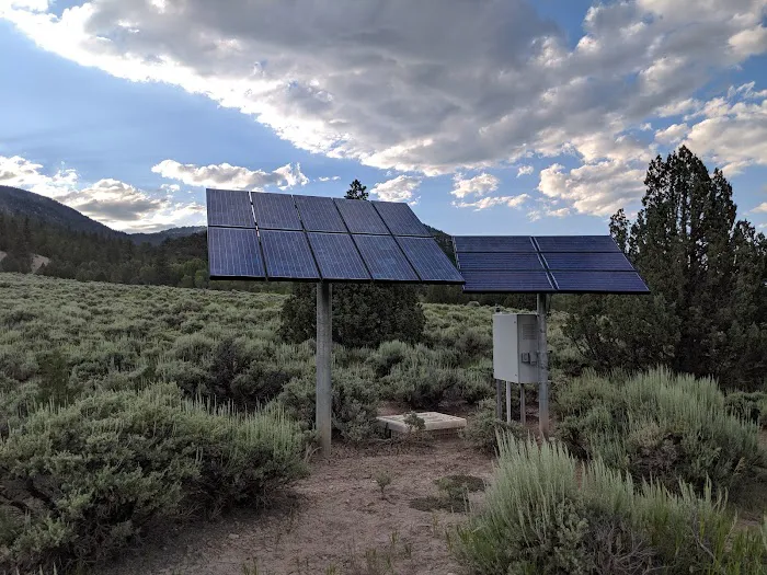 ORANGE OLSEN Picture 6