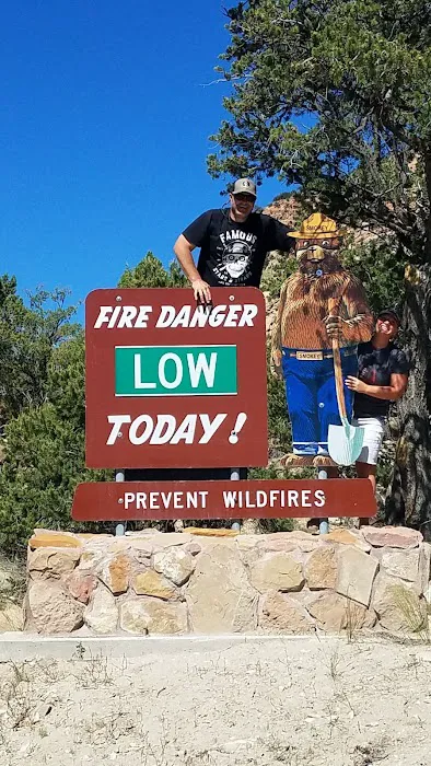 ORANGE OLSEN Picture 3