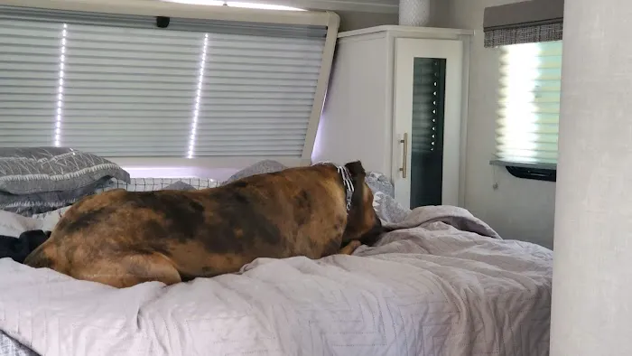 Joes Valley Campground Picture 4