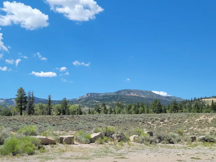 Joes Valley Pavilion Group Campground Picture 2