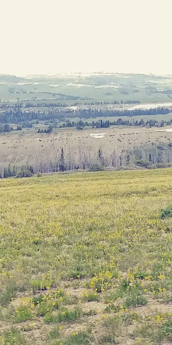 Joes Valley Pavilion Group Campground Picture 8