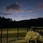 US Army MWR Redstone Arsenal RV Park