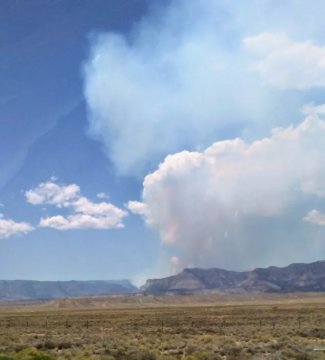 USDA Forest Service Picture 6