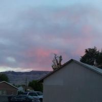 USDA Forest Service ico