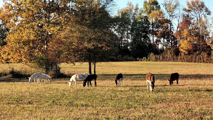 Northgate RV Travel Park Picture 1