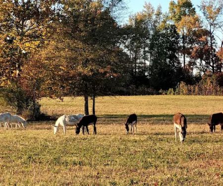 Northgate RV Travel Park