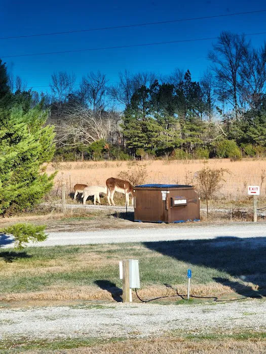 Northgate RV Travel Park Picture 7