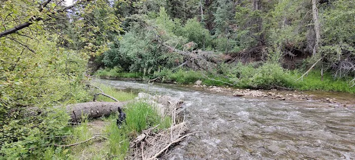 Little Bear Group Campground Picture 3