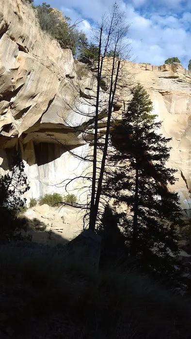 Little Bear Group Campground Picture 4