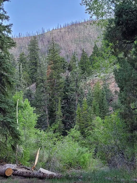 Little Bear Group Campground Picture 1