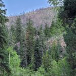 Little Bear Group Campground