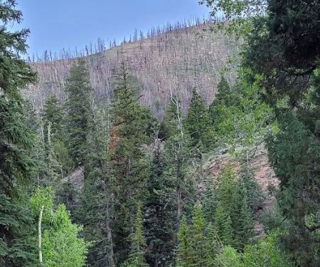 Little Bear Group Campground