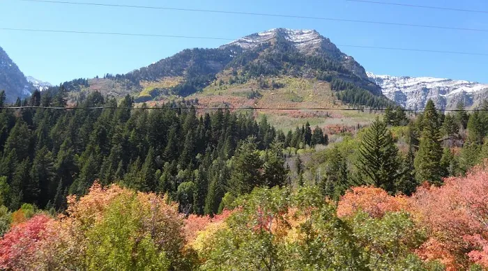 Little Bear Group Campground Picture 7