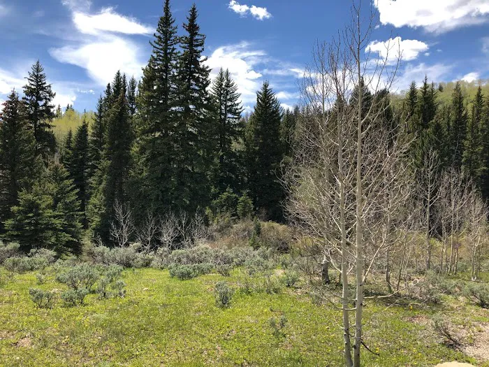 Indian Creek Campground Picture 5