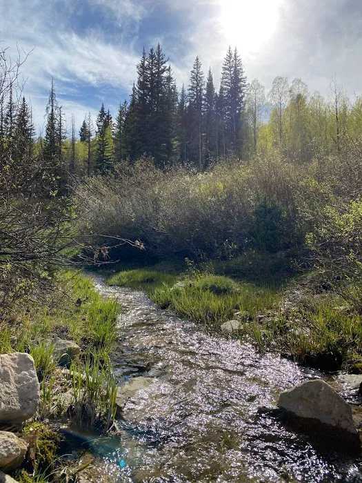 Indian Creek Campground Picture 6