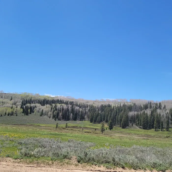 Indian Creek Campground Picture 9