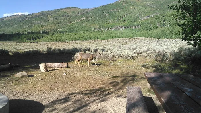 Indian Creek Campground Picture 1