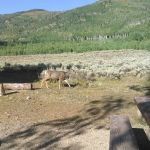 Indian Creek Campground