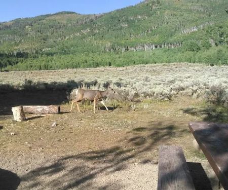 Indian Creek Campground