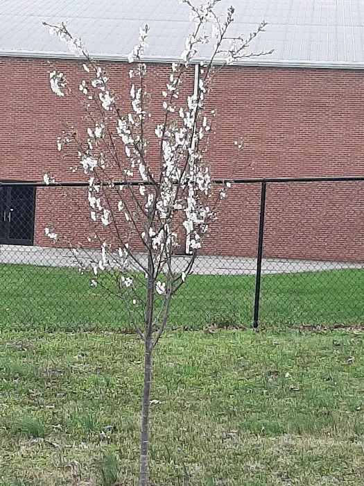 Countrywood Estates Picture 4