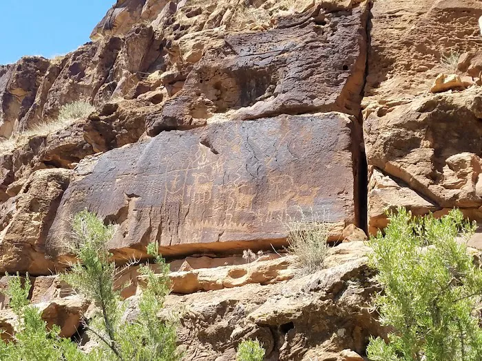 Nine Mile Ranch Picture 8