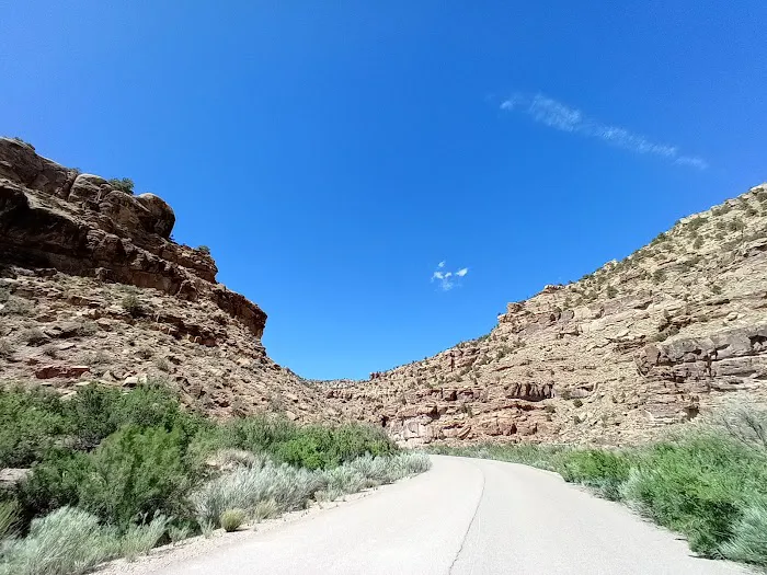 Nine Mile Ranch Picture 5