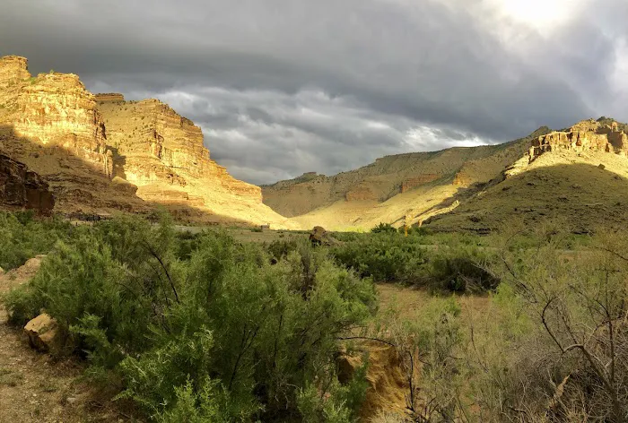 Nine Mile Ranch Picture 6