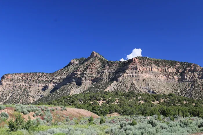 Nine Mile Ranch Picture 7